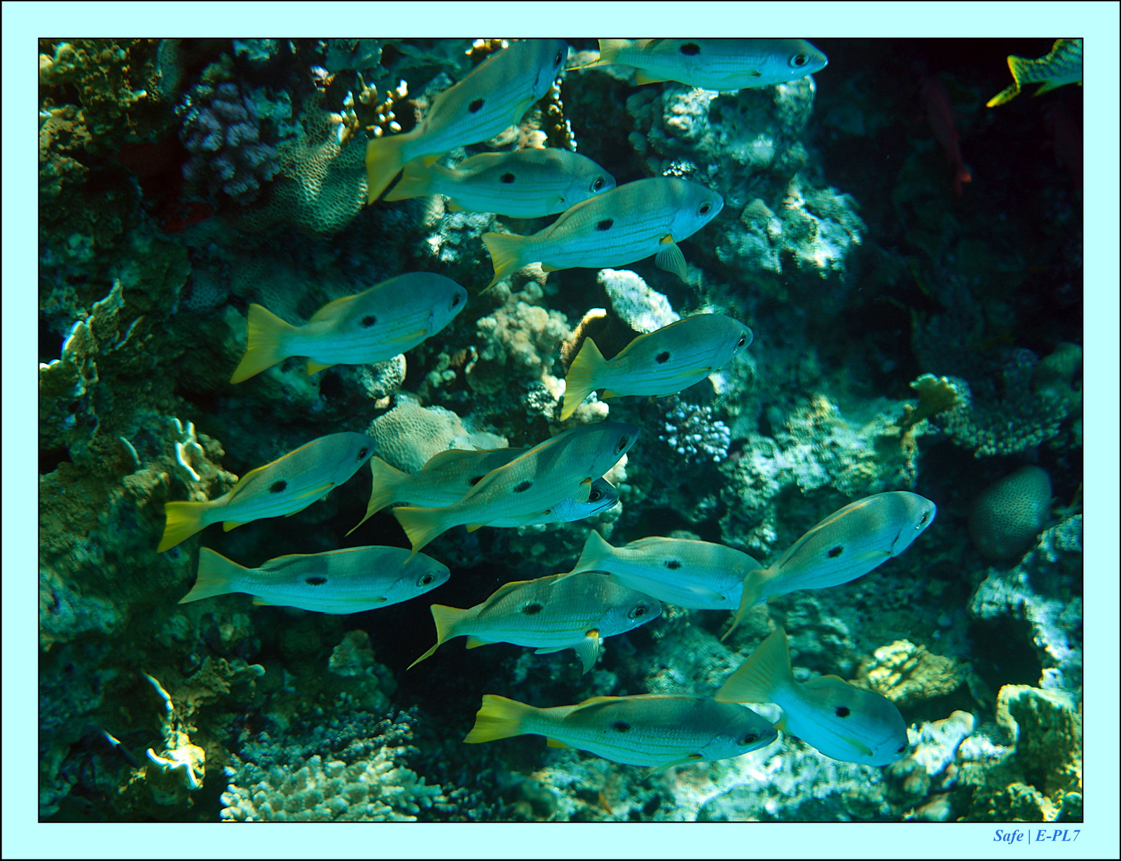 Hurghada - Aout 2021 - 037